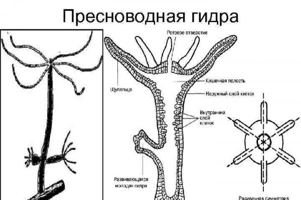 Мега или кракен