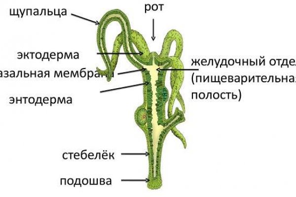 Кракен сайт официальный зеркало