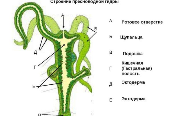 Гидра кракен